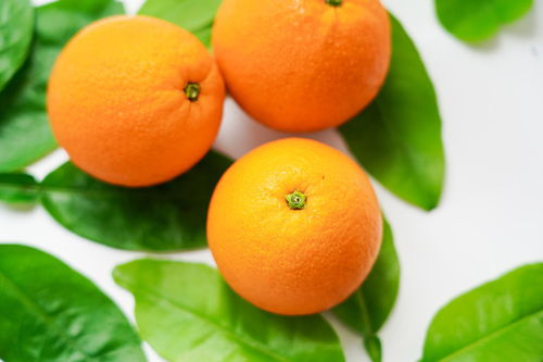 赣南脐橙——优质果品图片素材，助力食品餐饮设计