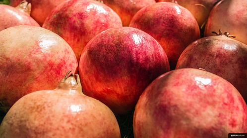 果品美食摄影艺术 从苹果到桃的美食创作与壁纸应用