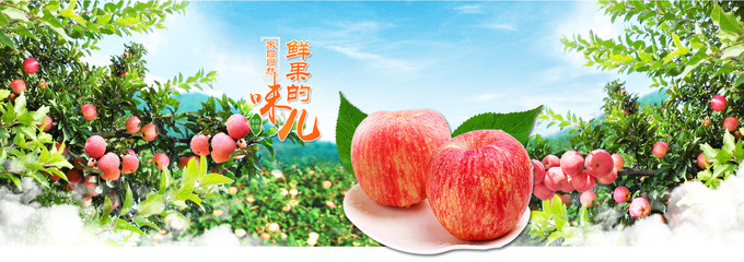 顺农果品现代农业园区 探索果品产业的科技与创新之路